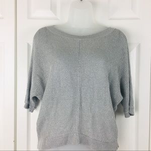 ISO LOFT Silver Glitter Batwing Knit Top